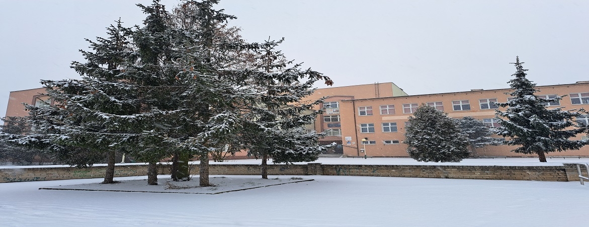 Dagmara_Górska_zima_moja-szkoła-zimą